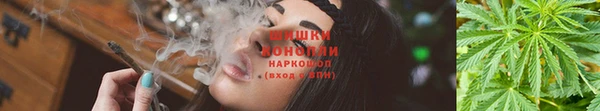 тгк Сафоново