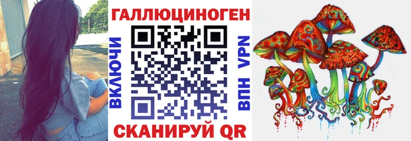 Псилоцибиновые грибы GOLDEN TEACHER  omg зеркало  Торжок  как найти закладки 